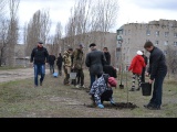 В Борисоглебске в субботу 18 апреля высадили саженцы липы-0