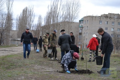 В Борисоглебске в субботу 18 апреля высадили саженцы липы-0