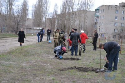 В Борисоглебске в субботу 18 апреля высадили саженцы липы-2