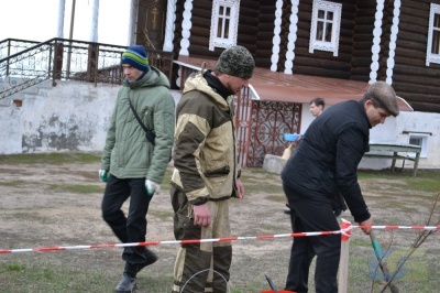 В Борисоглебске в субботу 18 апреля высадили саженцы липы-8